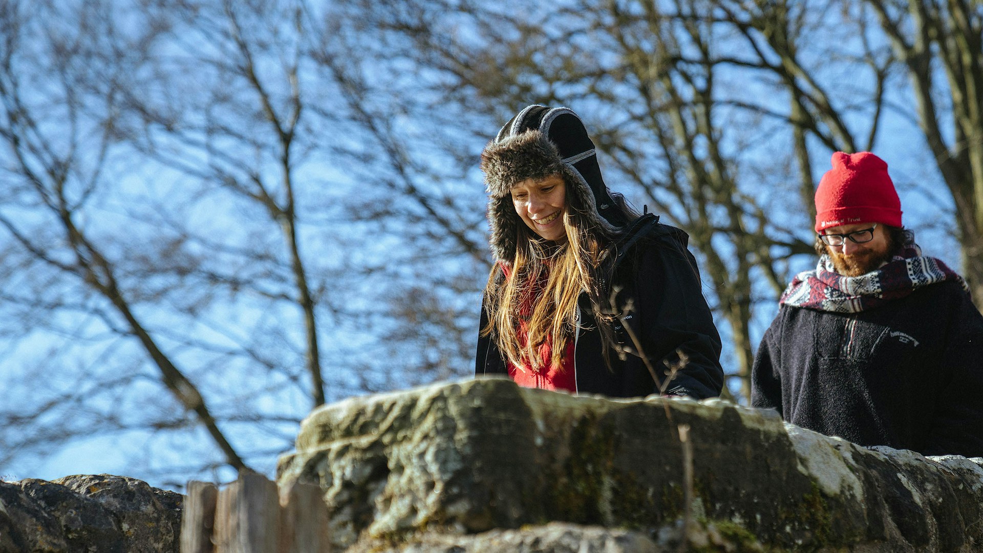 Rewilding network members on bridge