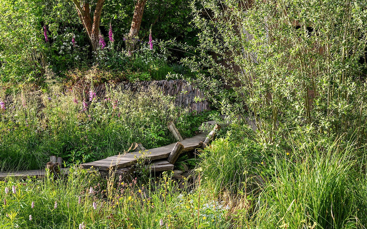 Rewilding britain chelsea