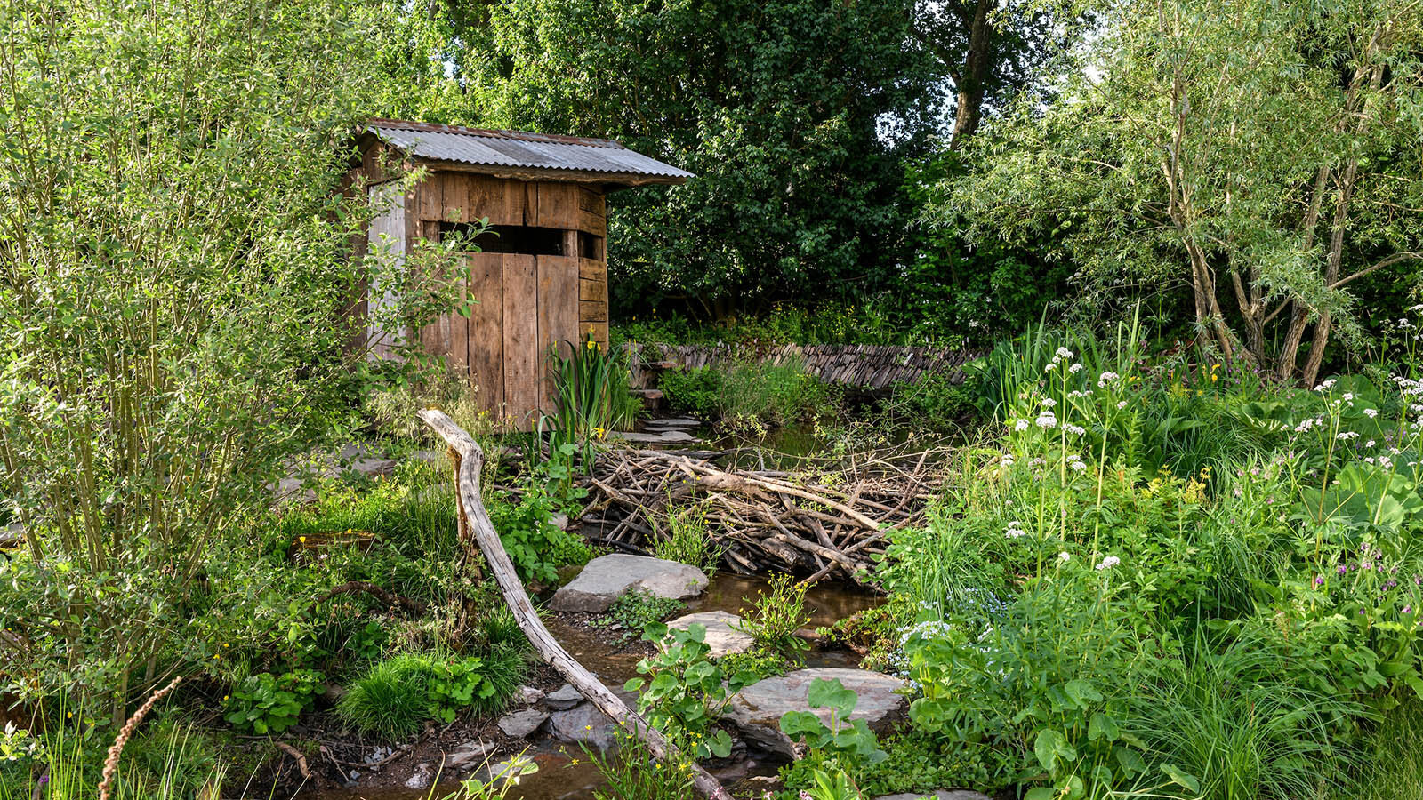 Rewilding britain chelsea