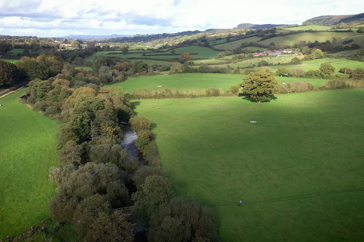 River otter floodplain