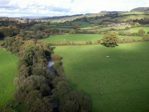 River otter floodplain