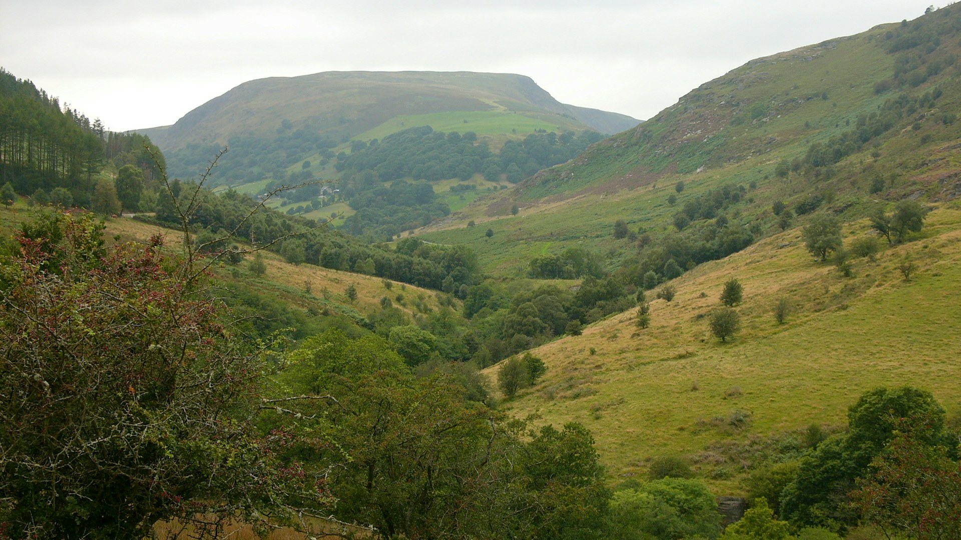 Rwt gilfach valley