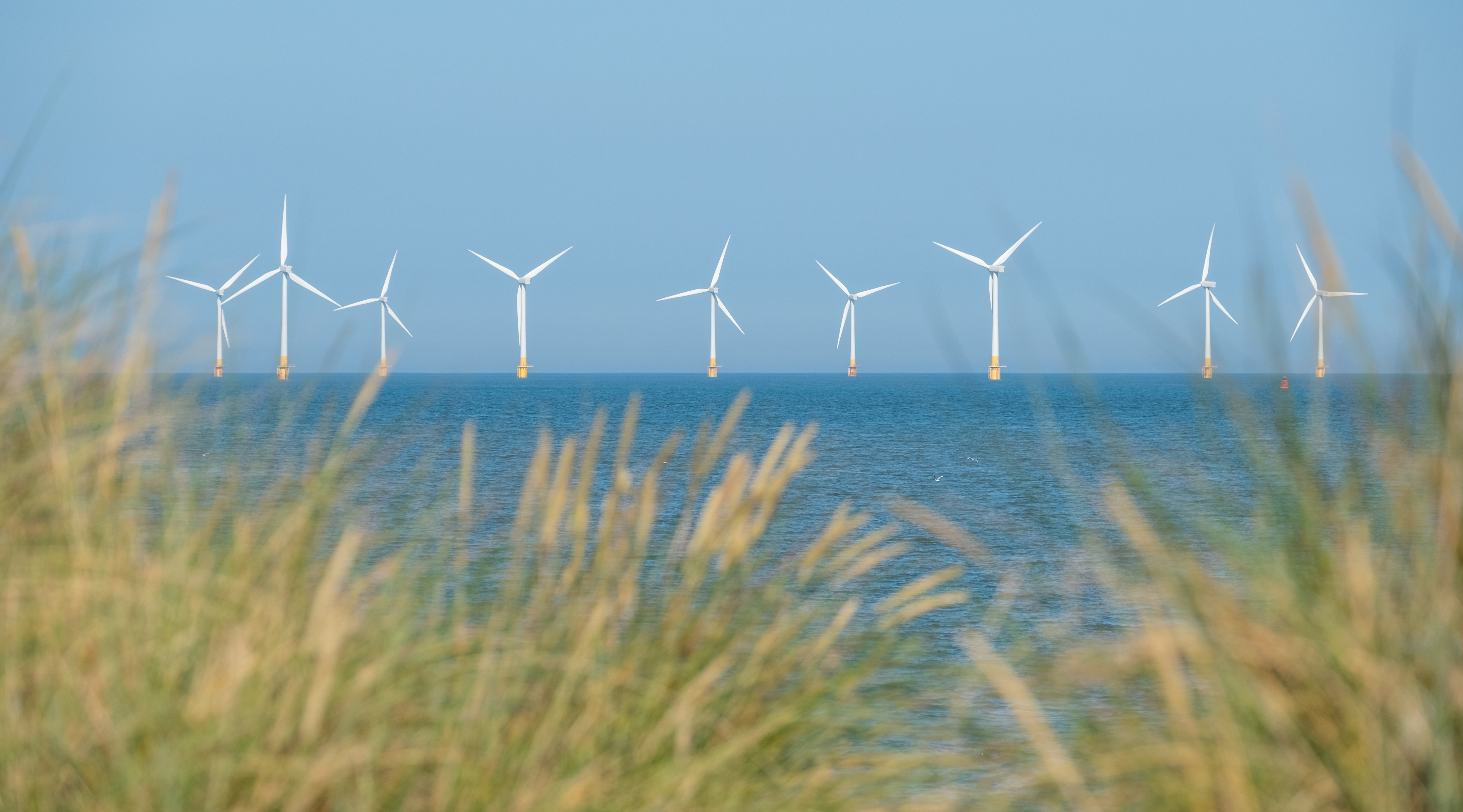 Scroby Sands Wind Farm located in the North Sea off Norfolk coast in the distance, photographed through the grassy sand dunes at Caister on Sea near Great Yarmouth, Norfolk UK.