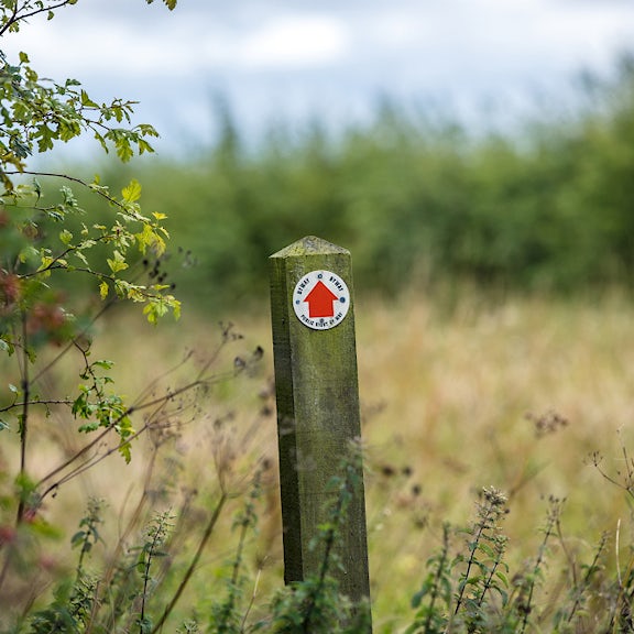 Signpost in a field at Sheepdrove Organic Farm