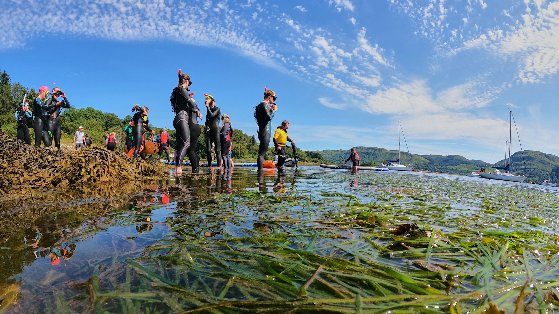 People with snorkels next to seagrass