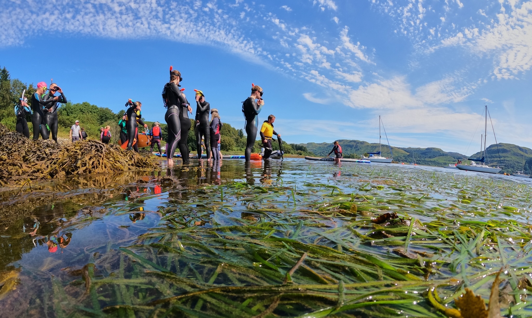 People snorkelling with seagrass