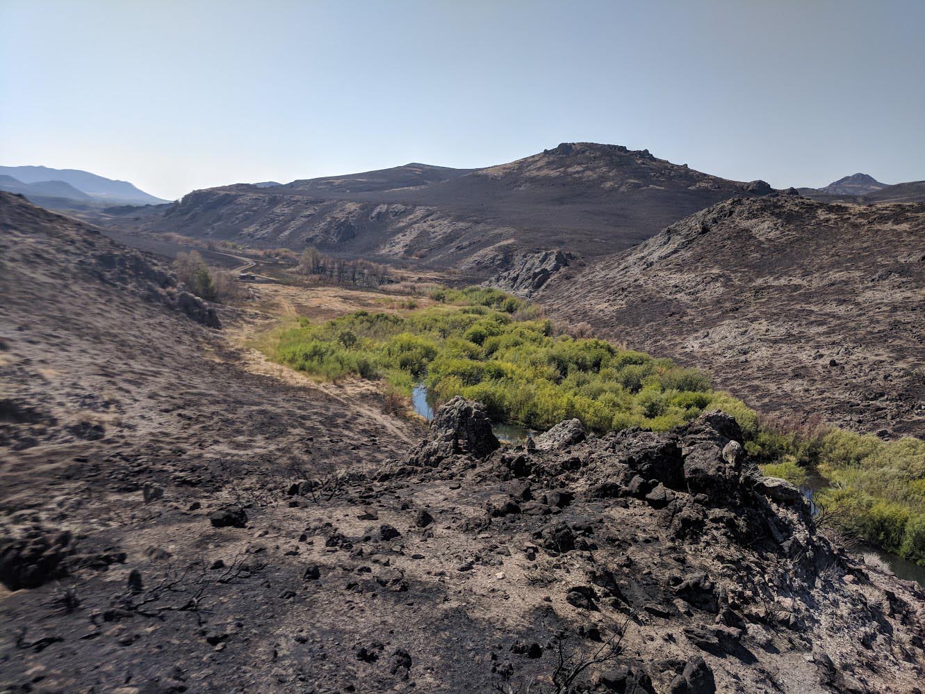 Sharps fire showing beaver activity
