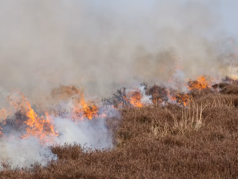 Heather burning on the North York Moors.