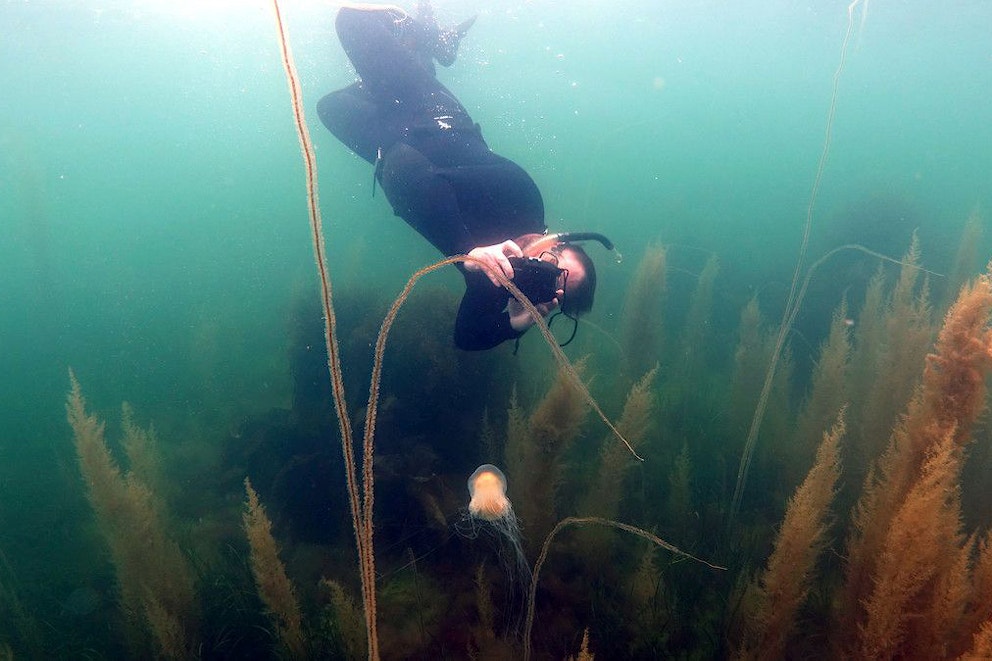 Snorkelling off Arran