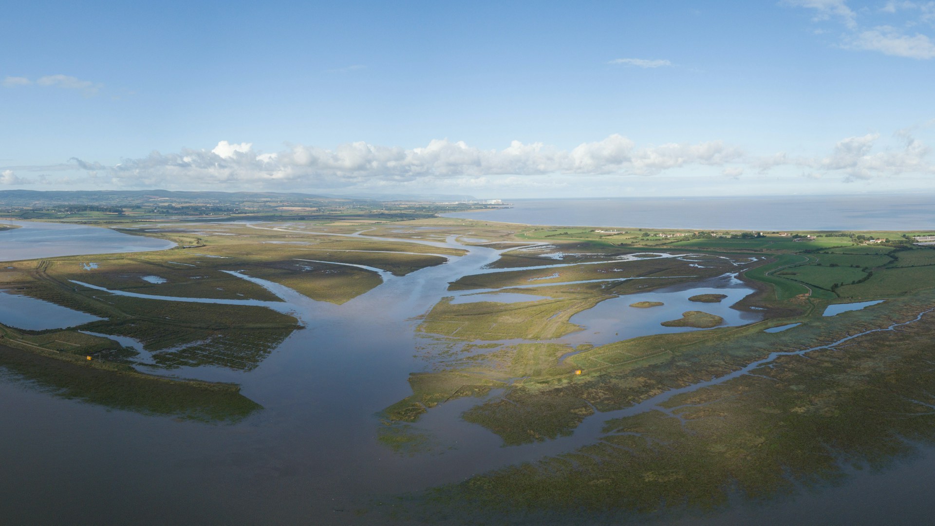 Steart marshes