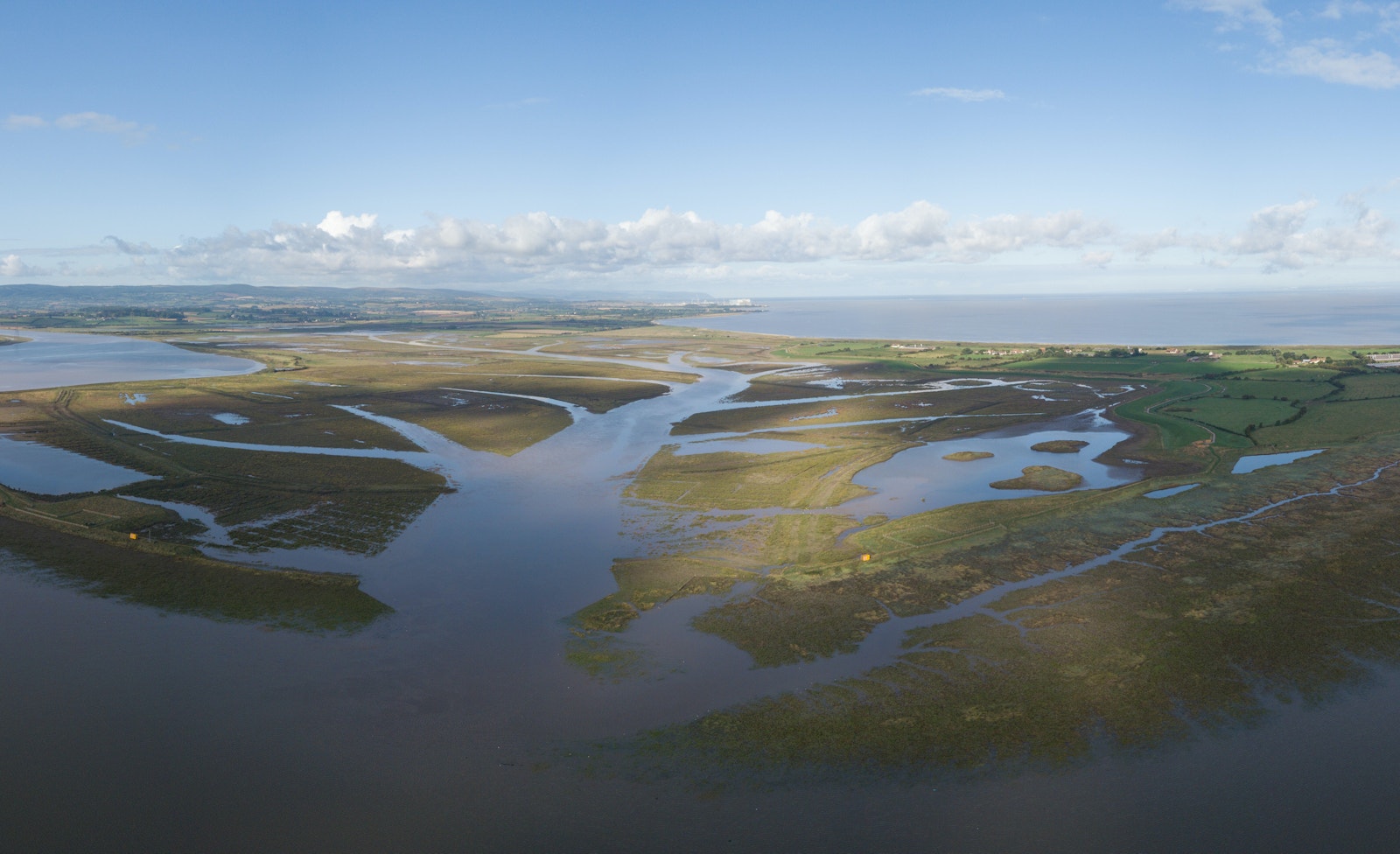 Steart marshes