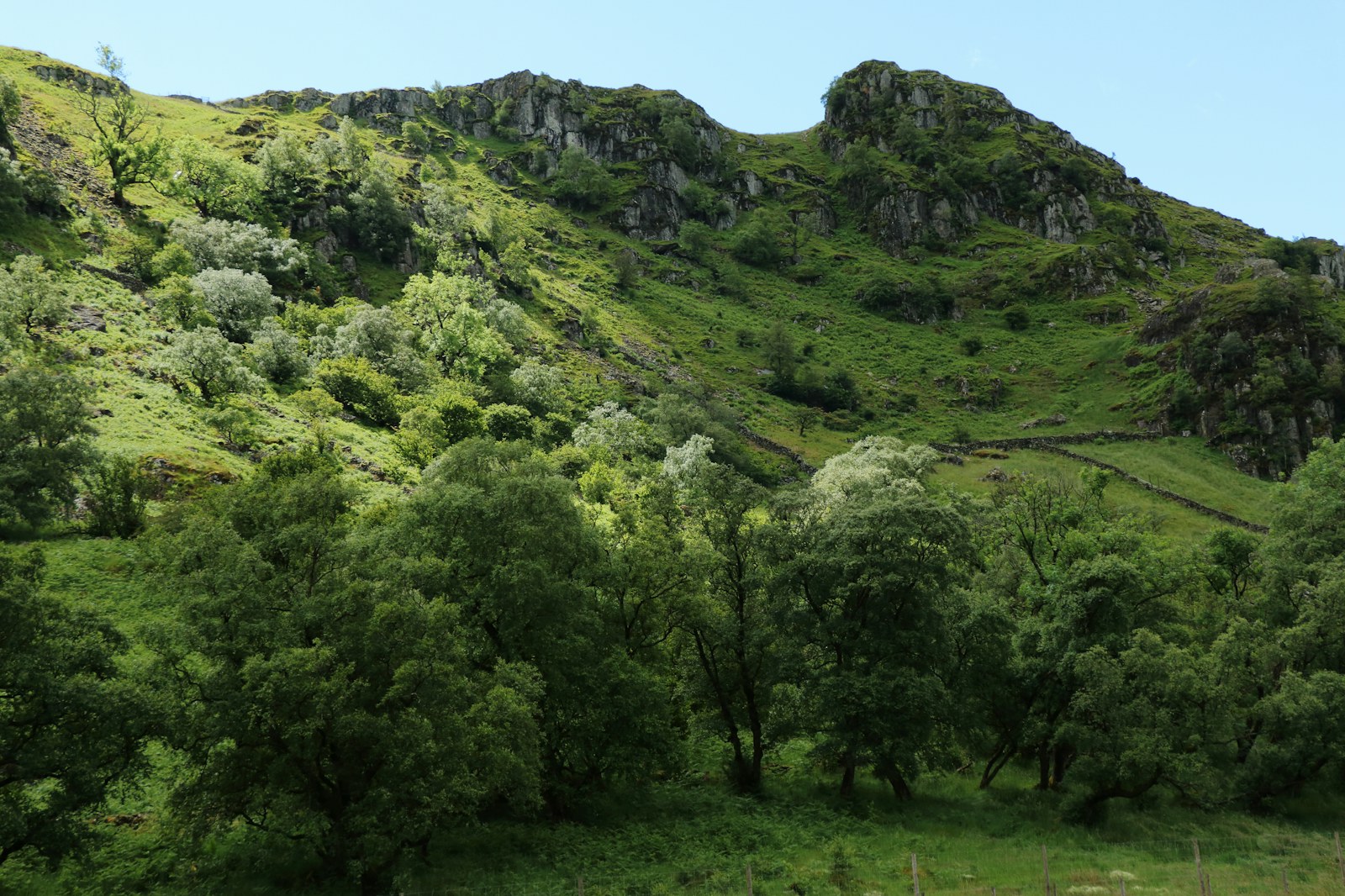 Swindale haweswater natural regeneration