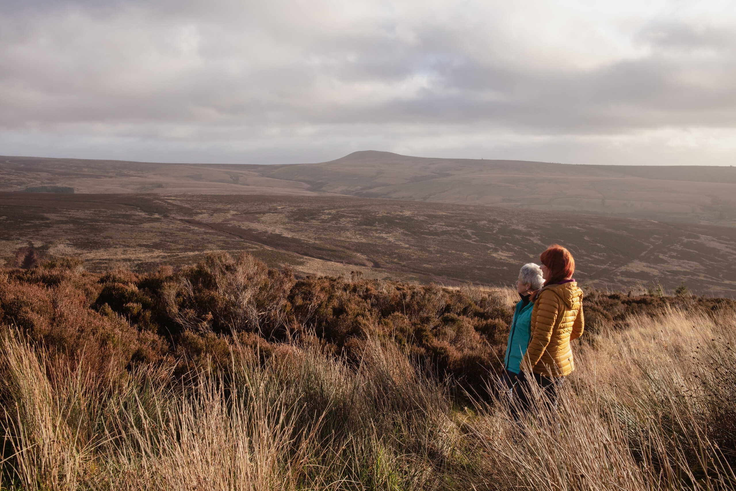 Tarras valley nature reserve with rewilders
