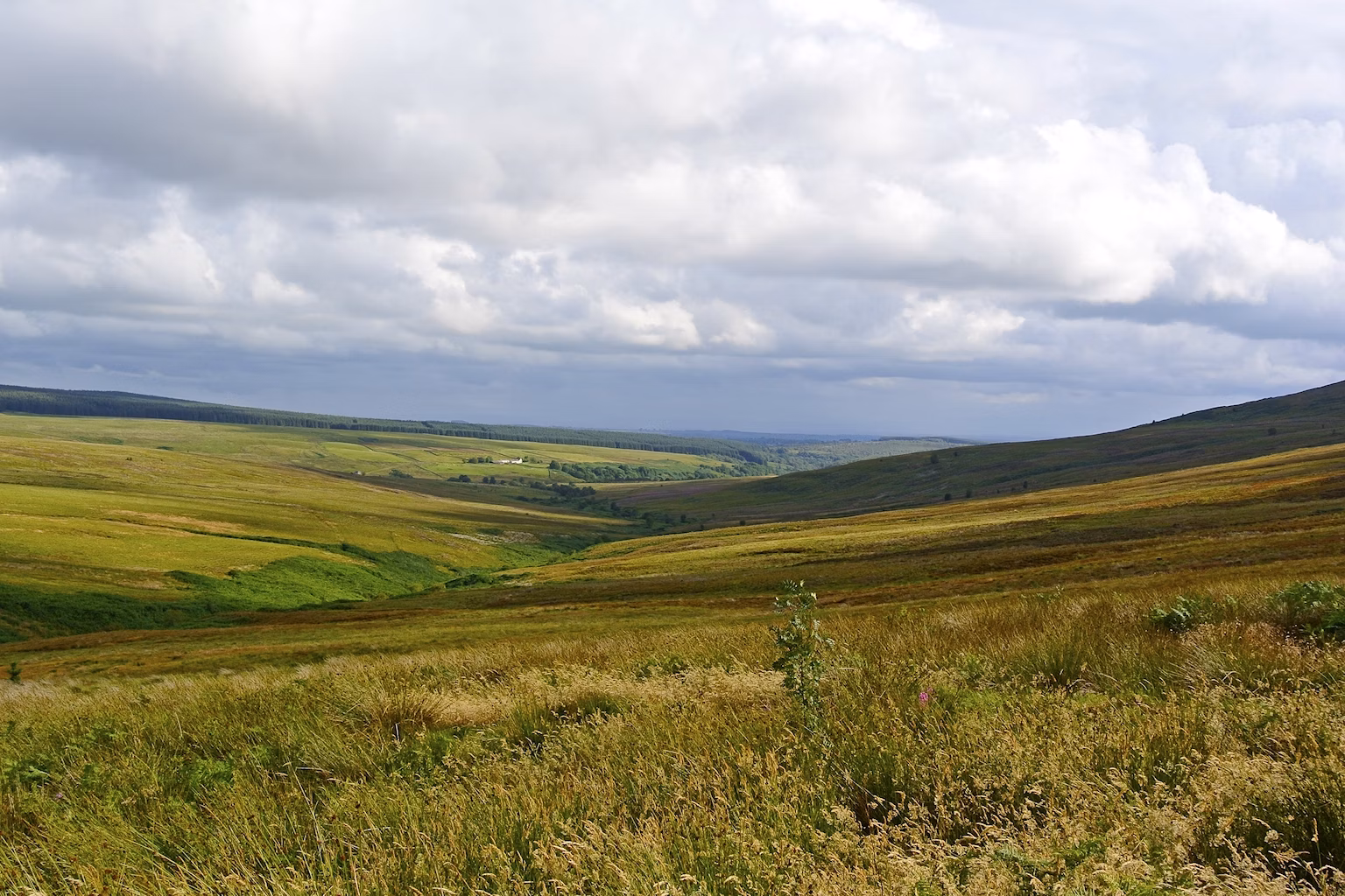 Tarras Valley Nature Reserve landscape