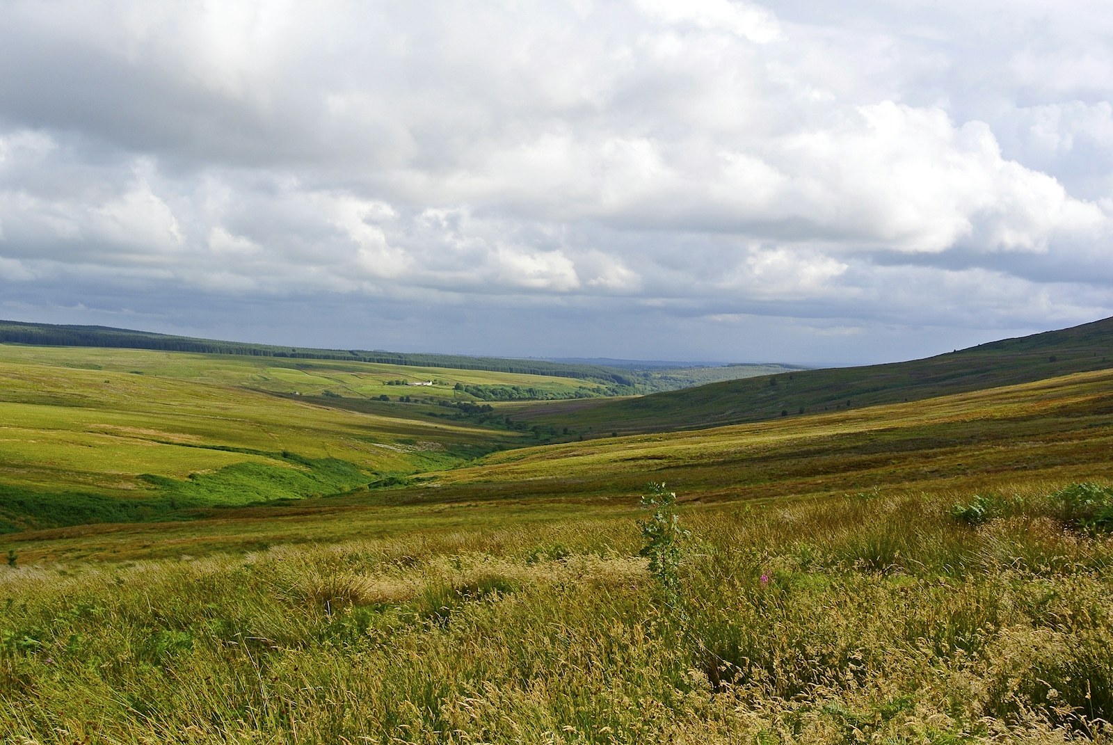 Tarras valley nature reserve