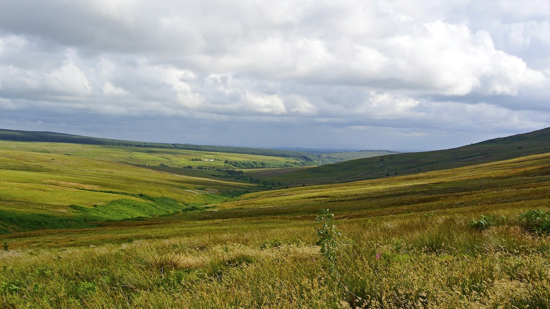 Tarras Valley Nature Reserve landscape