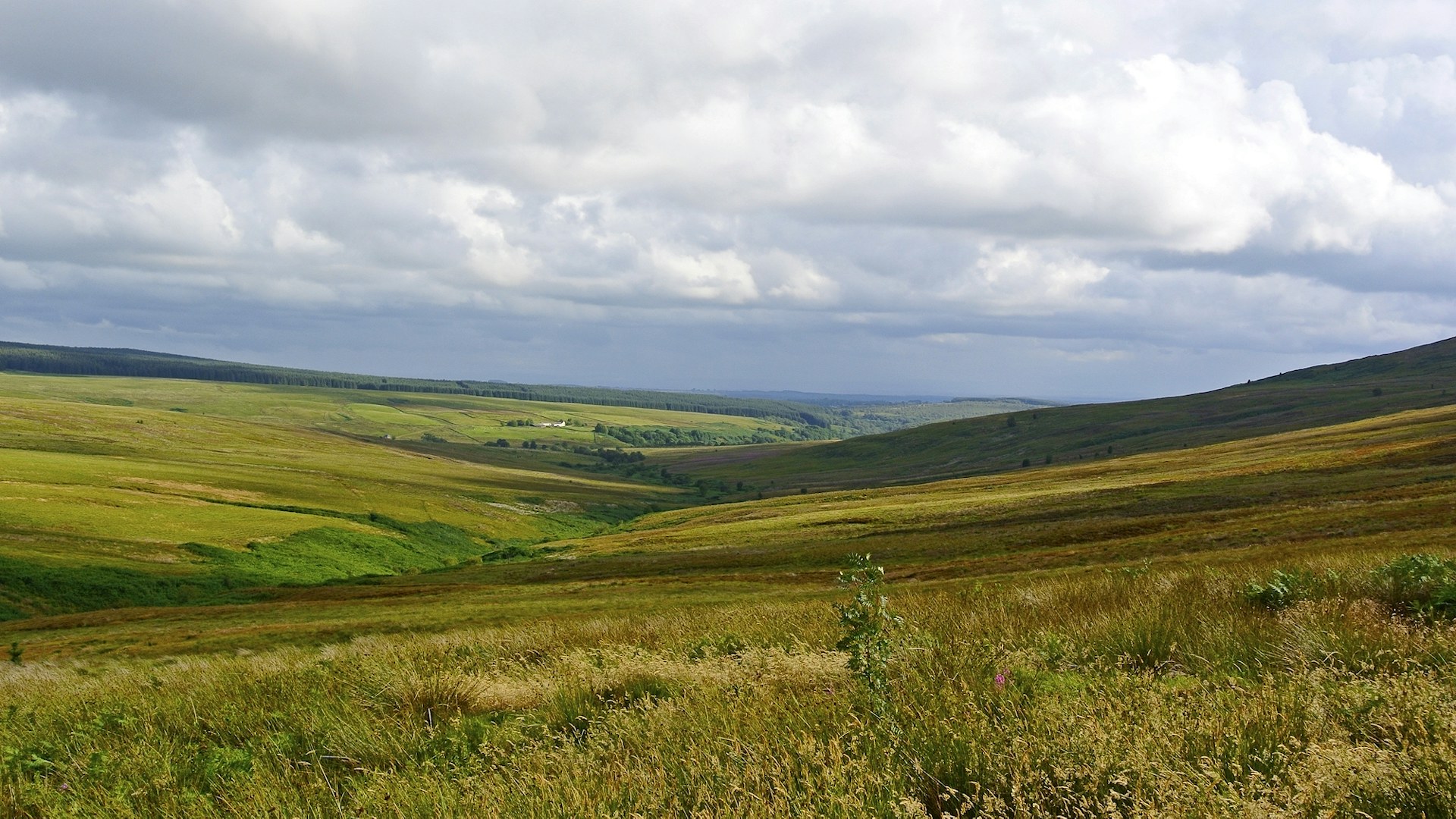 Tarras valley nature reserve