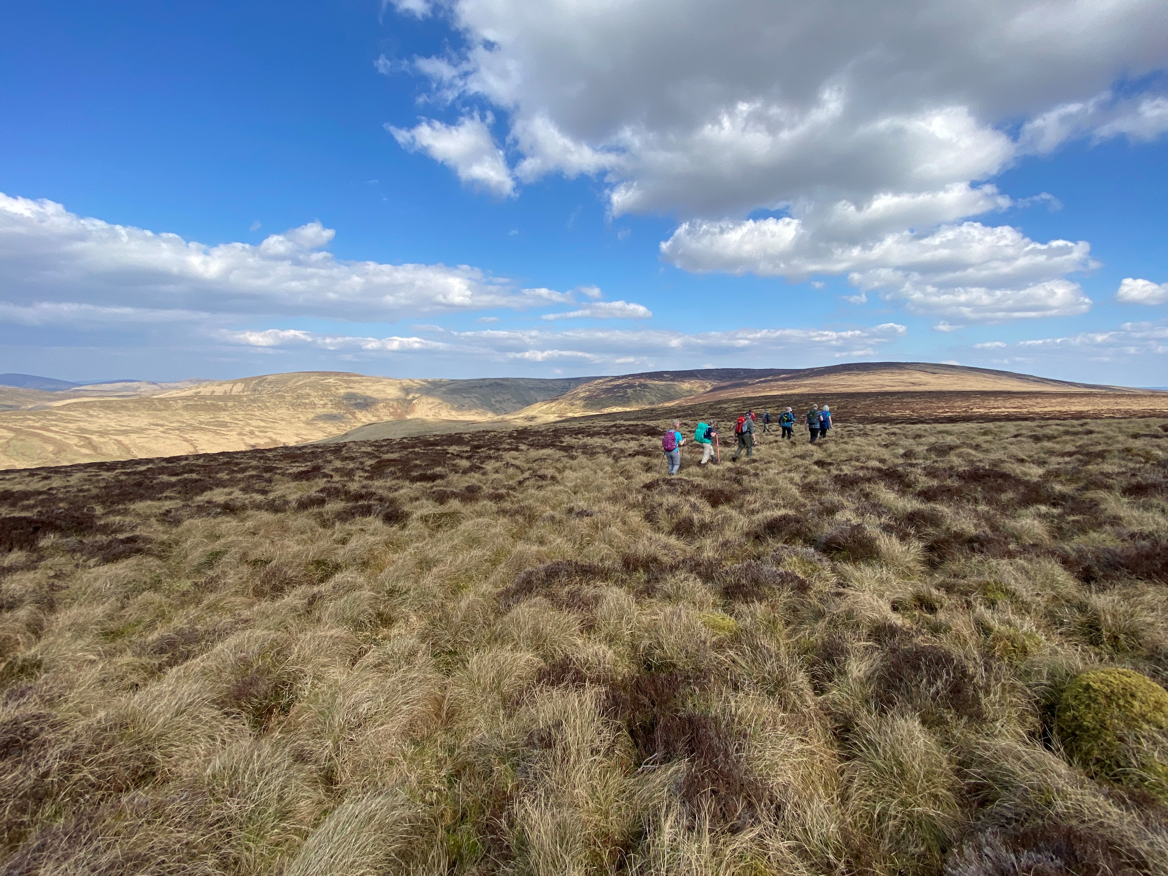 Upland landscape in the Tarras Valley, Scotland