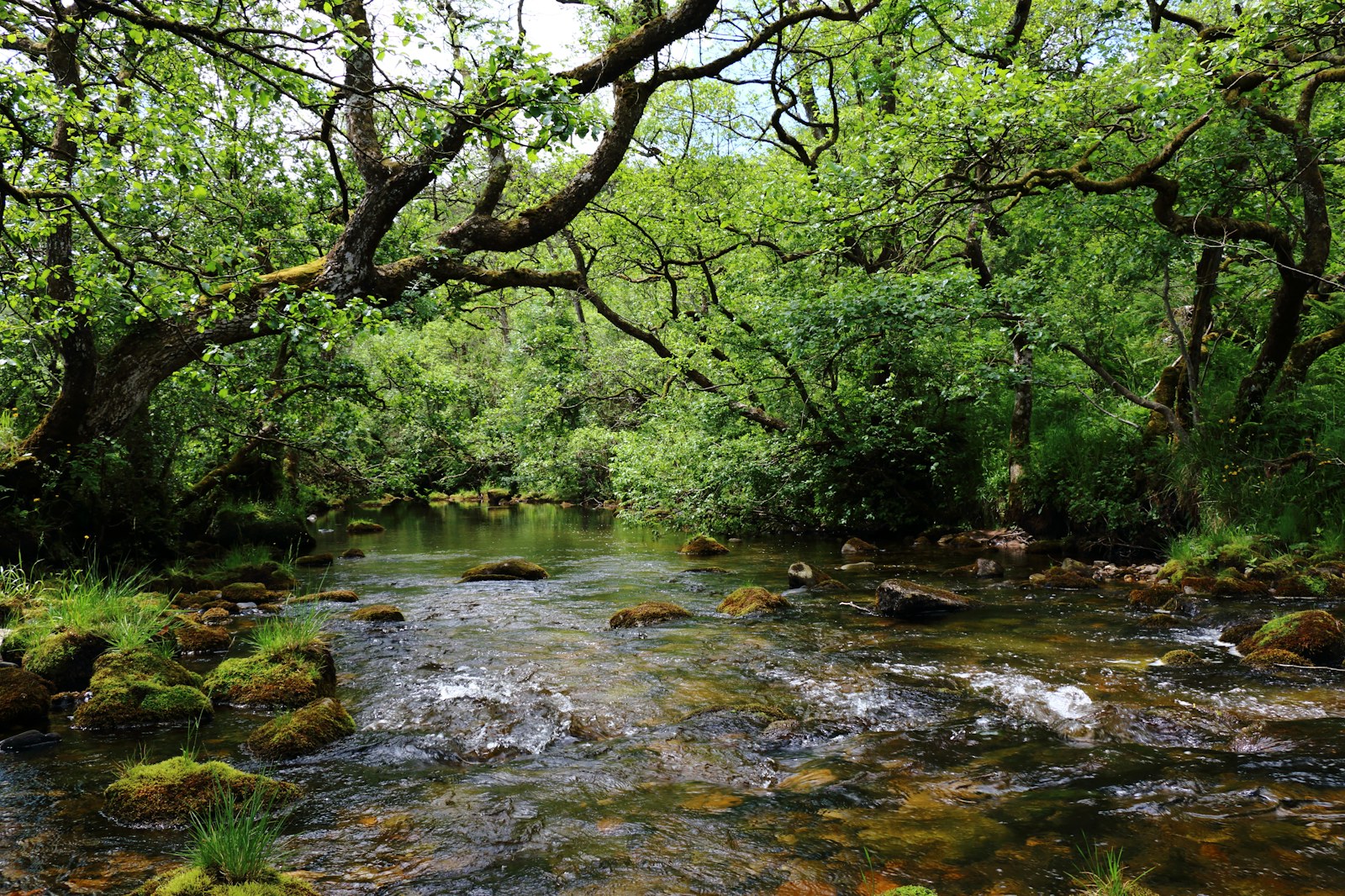 Tarras water river langholm