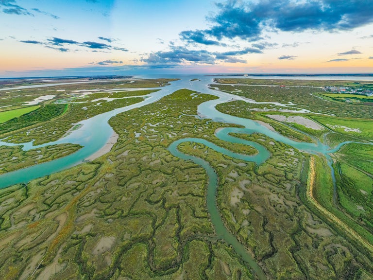 Tollesbury marshes