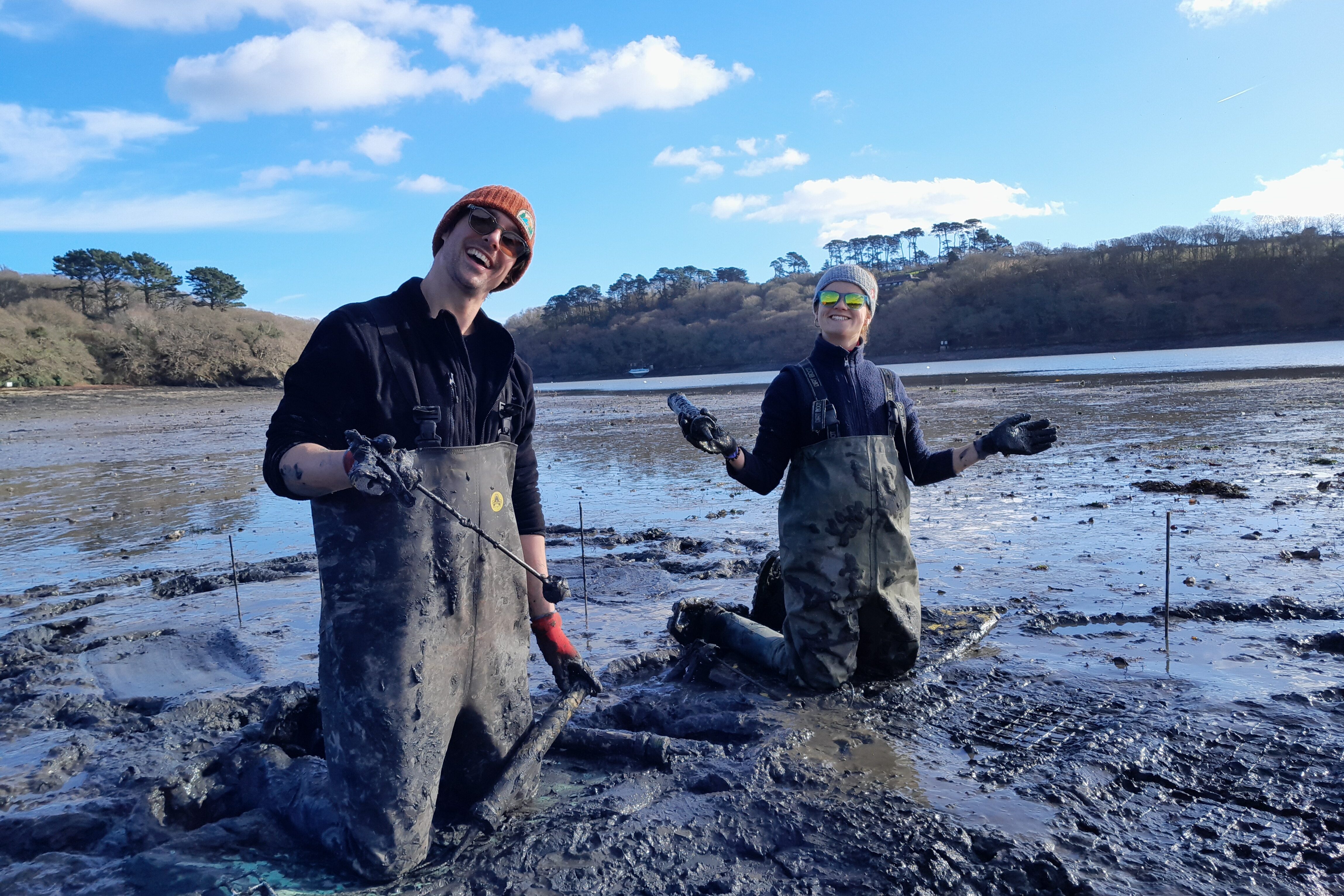 People participating in seagrass restoration with Cornwall Wildlife Trusts.