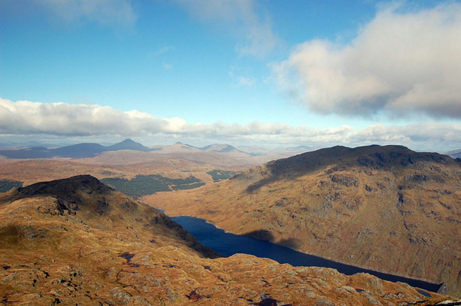 View from the top of Williams Cleugh Scots pine looking down towards Wil