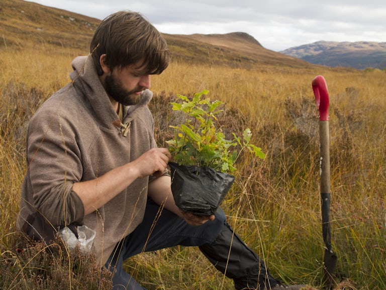 Volunteer planting trees c trees for life