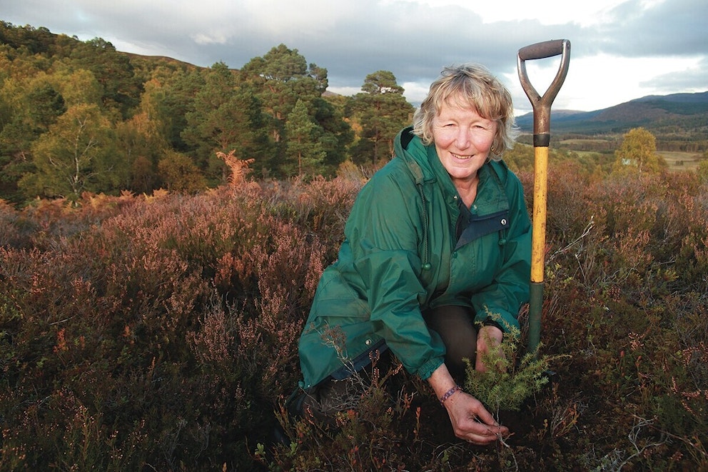 Volunteer tree planting dundreggan