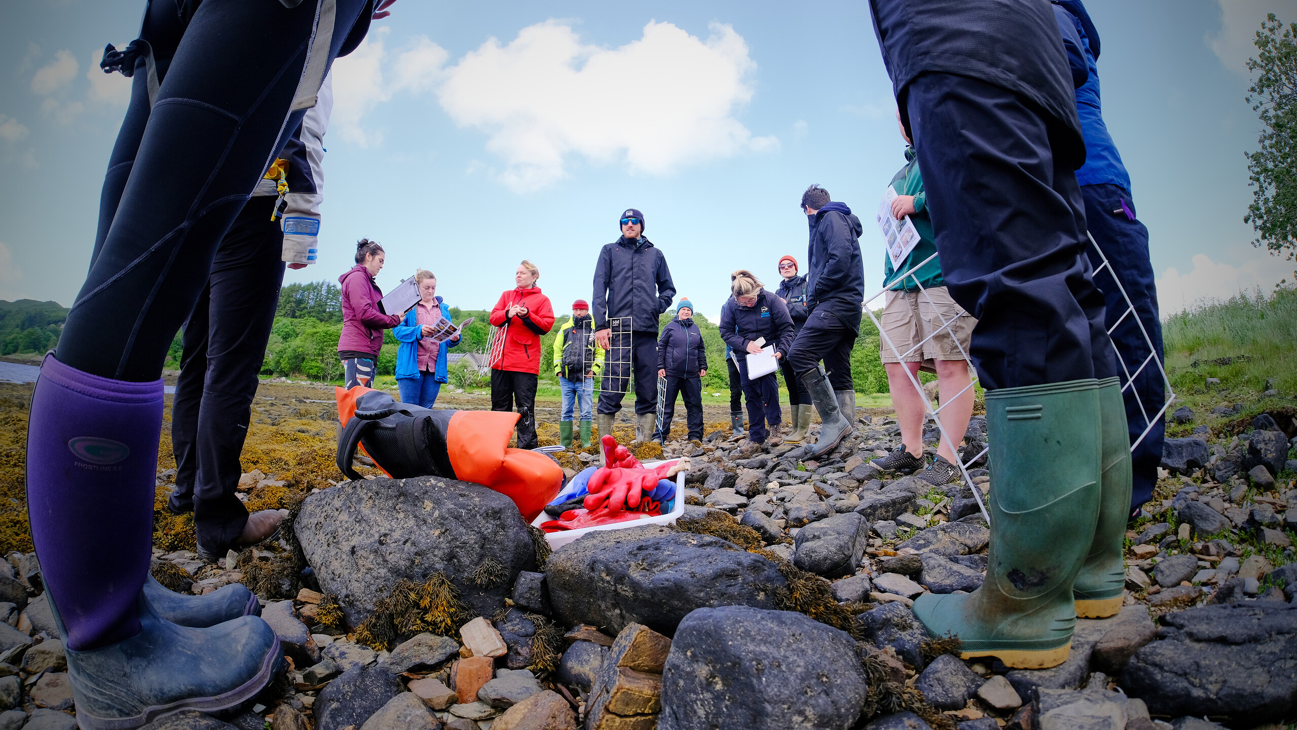 Volunteers seawilding