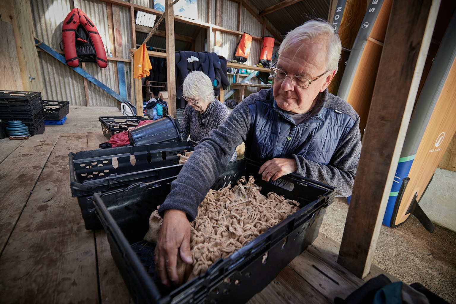 Seawilding volunteers processing seagrass seed and filling hessian bags with sand