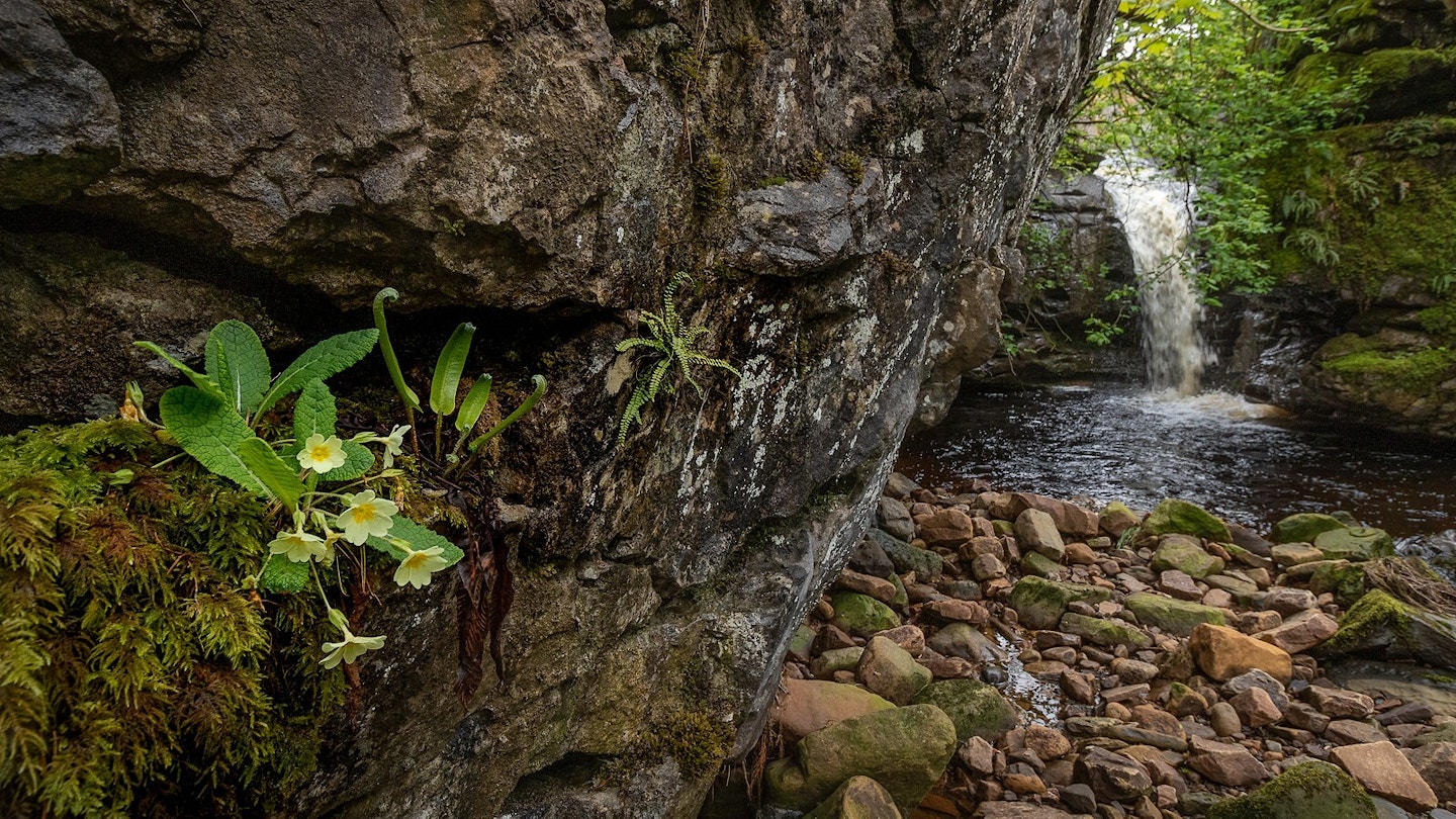 Water fall