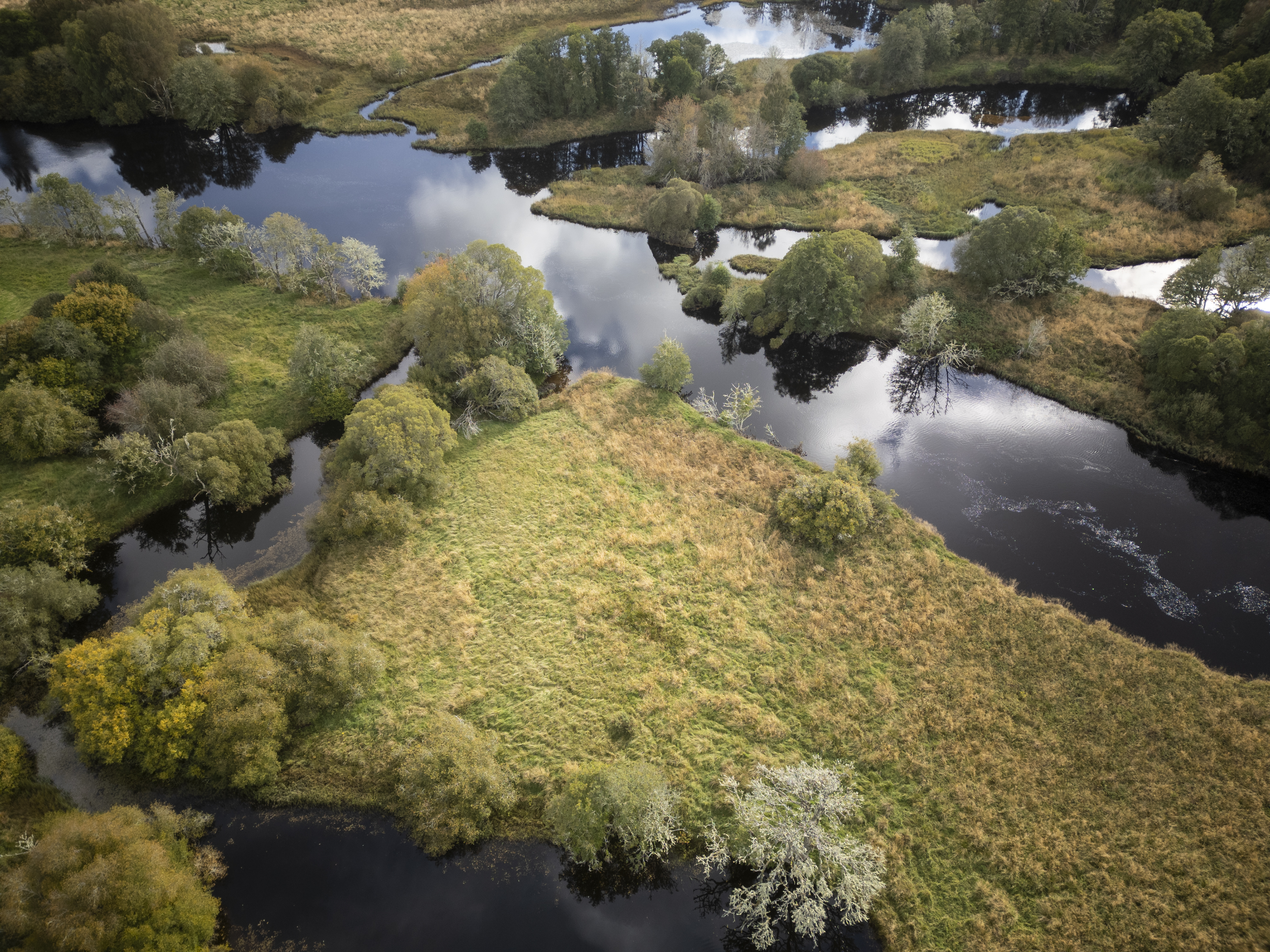 Aerial view of wetland landscape at Dundreggan Rewilding Centre, Scotland.