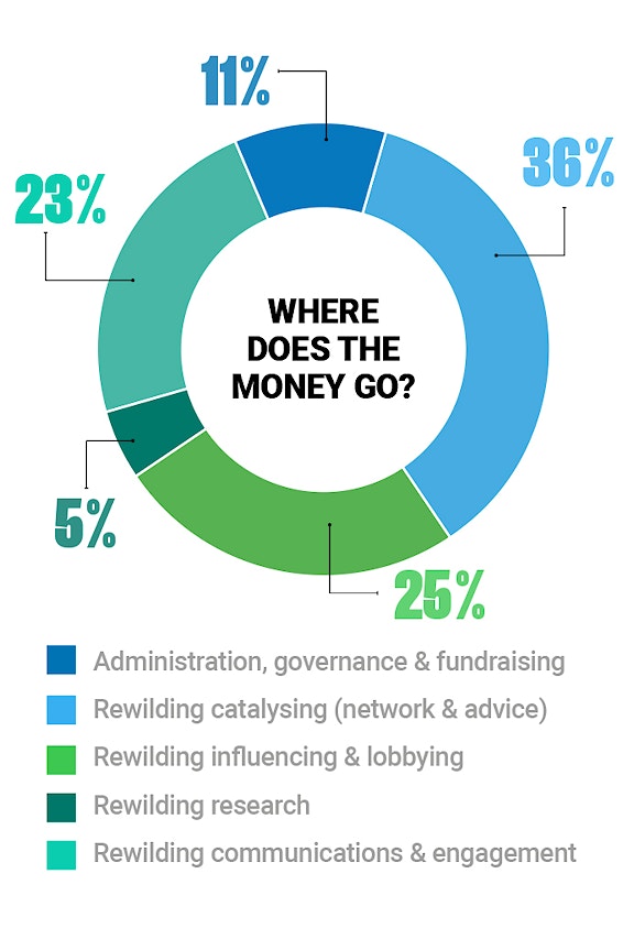 Where does the money go
