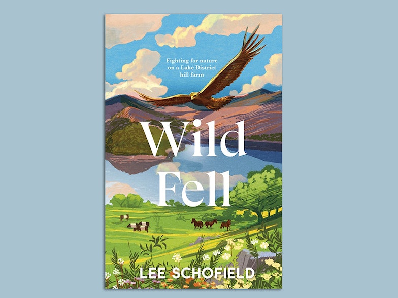 Wild Fell book cover