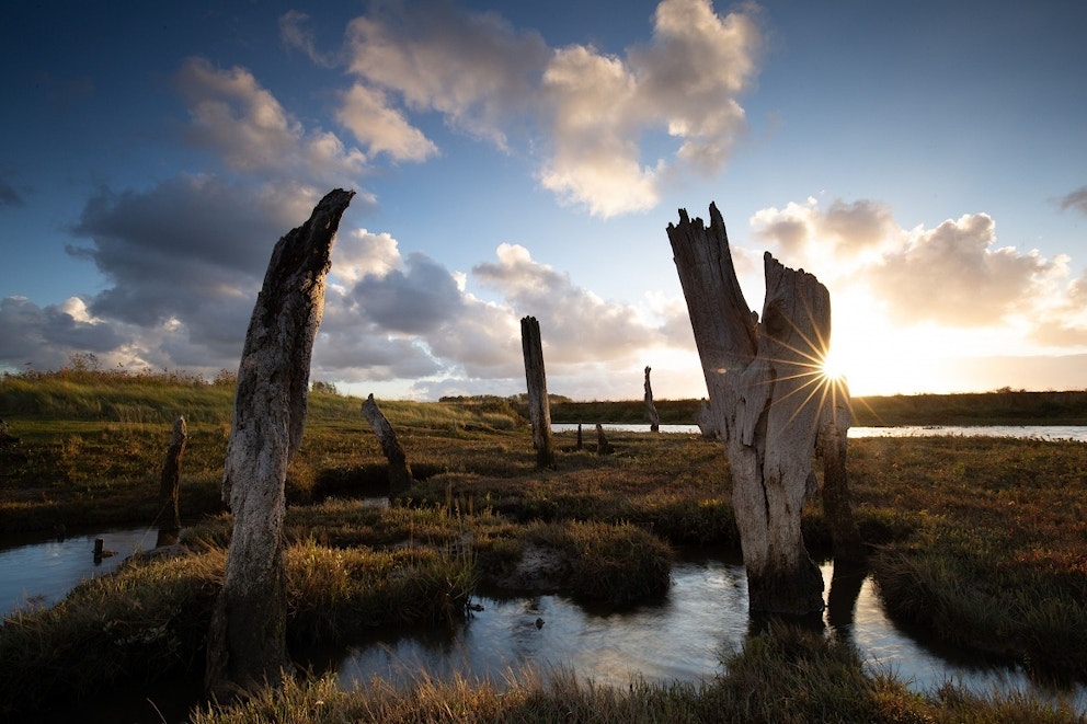 Wild Ken Hill, Marsh Sunset