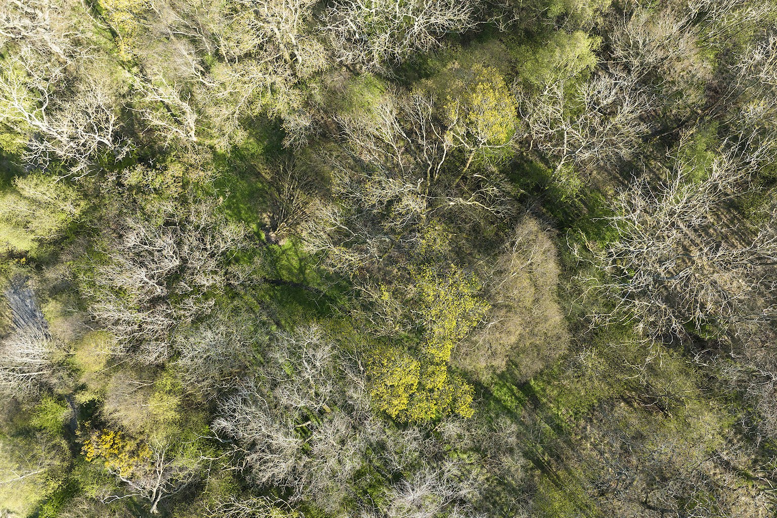 Aerial view over Wild West Chevington
