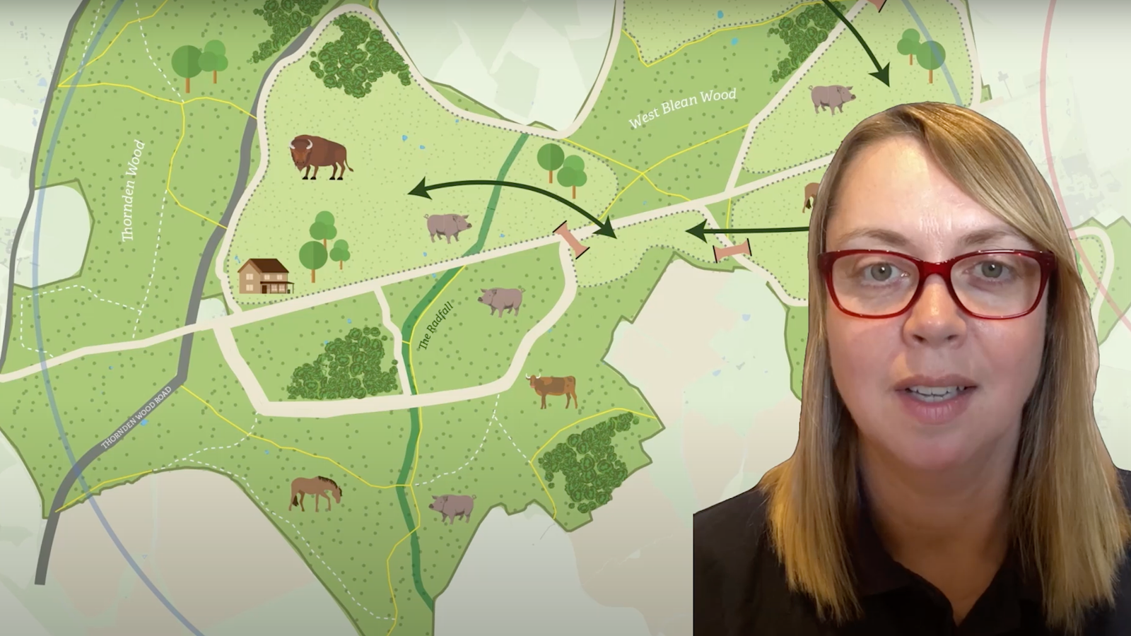 A summary of the Wilder Blean initiative