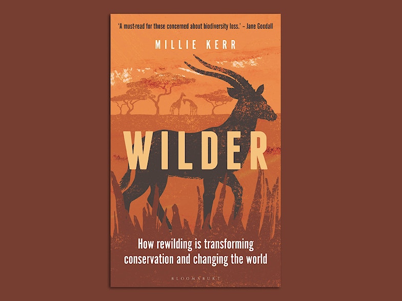 Wilder book cover