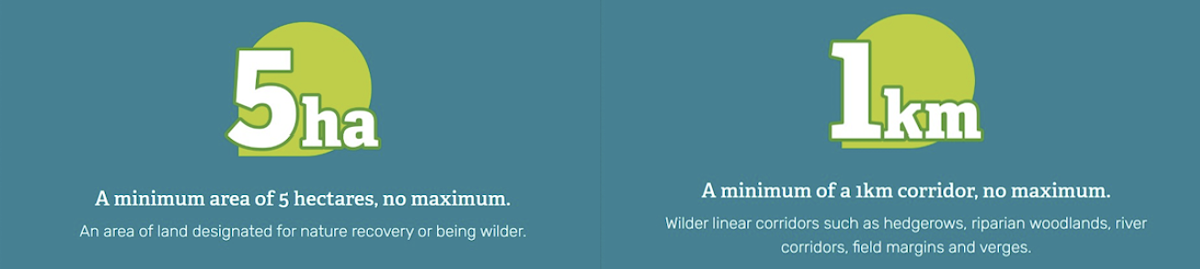 Wilder Northumberland Network membership details