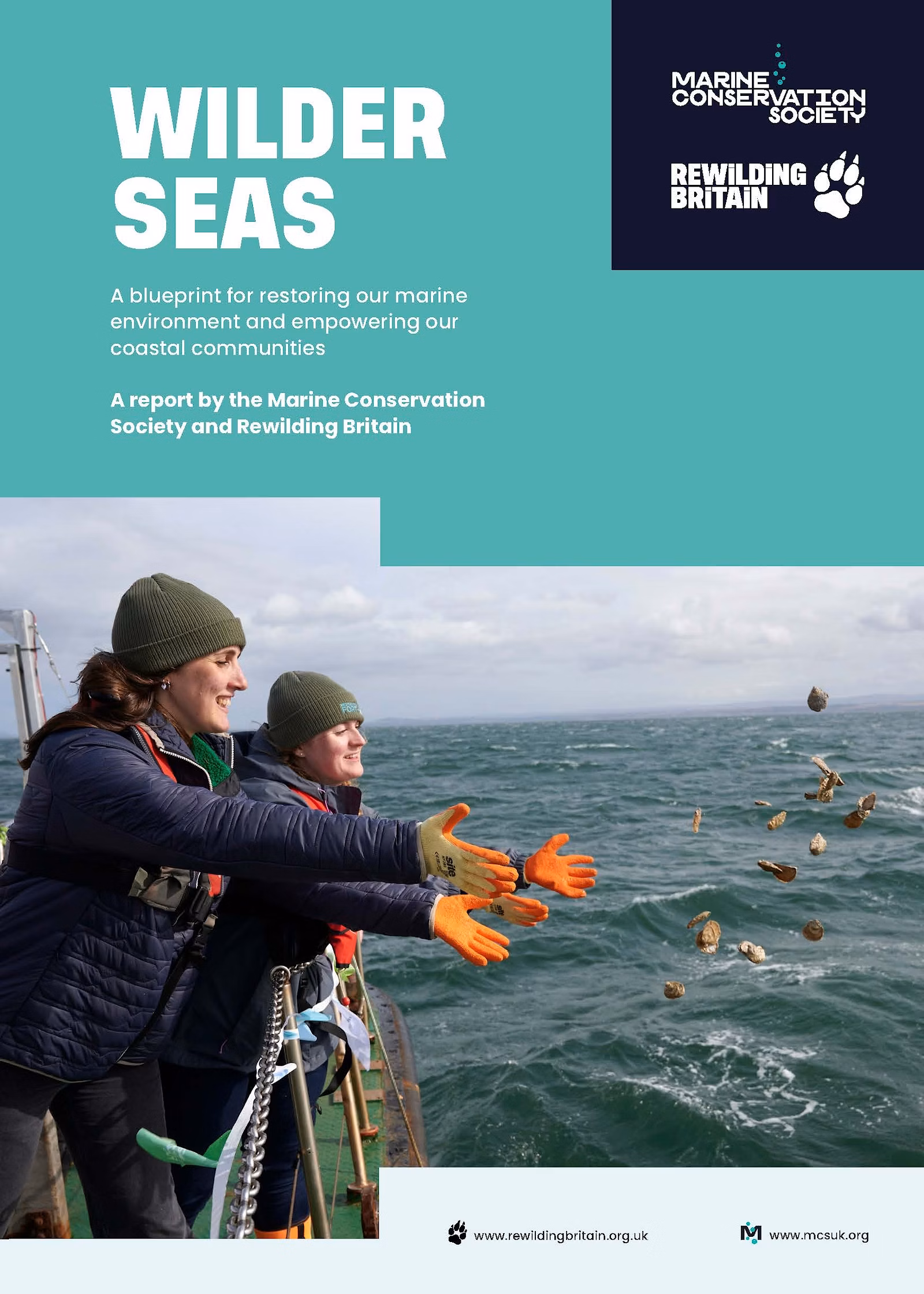 Wilder seas report cover