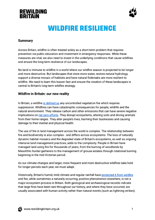 Image showing the front cover of the 'Wildfire resilience' text-based document