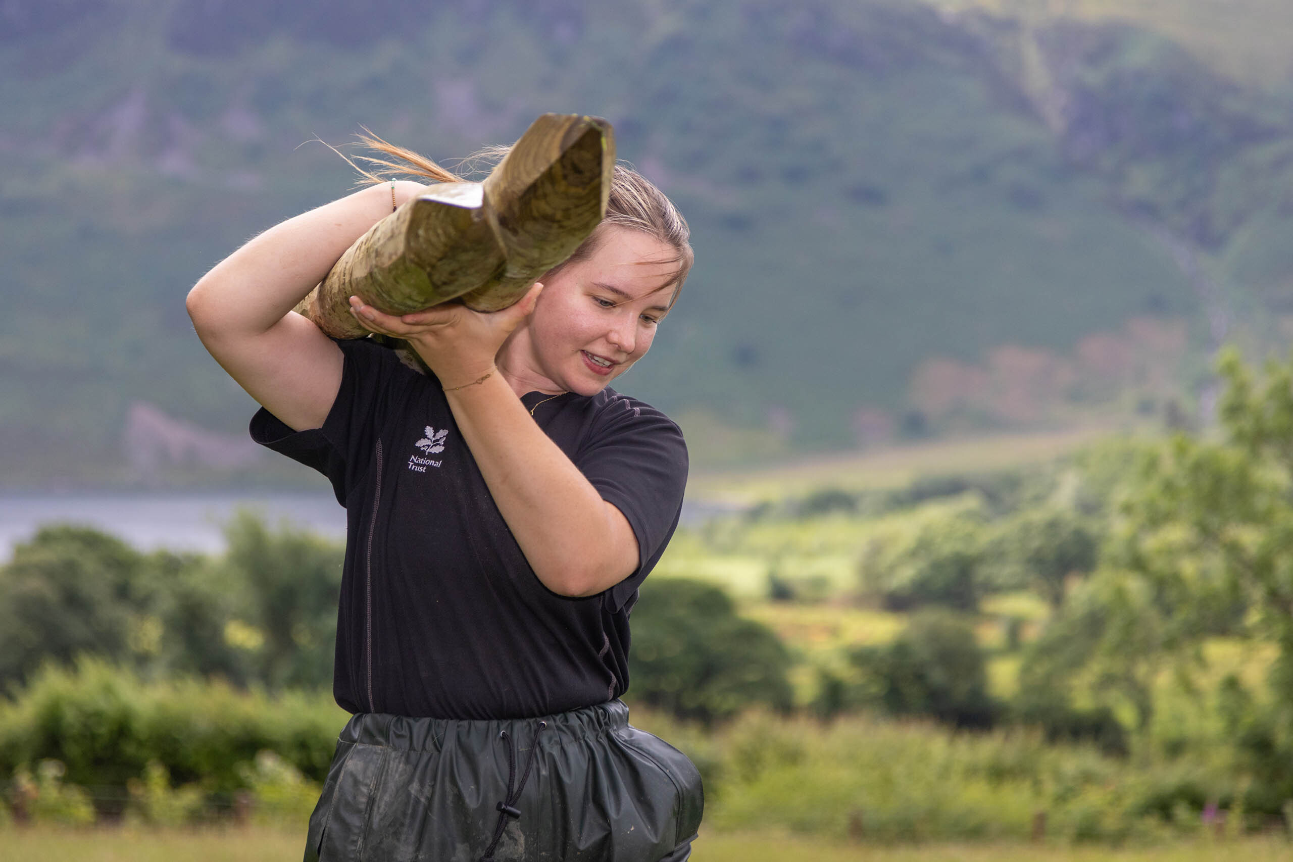 Woman carrying wooden posts wild ennerdale