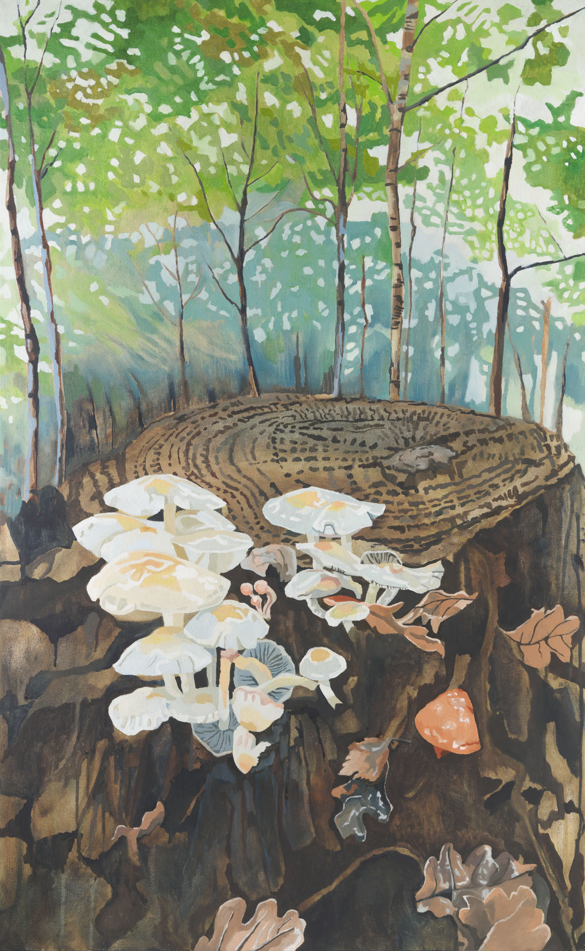 Woodland renewal moor barton