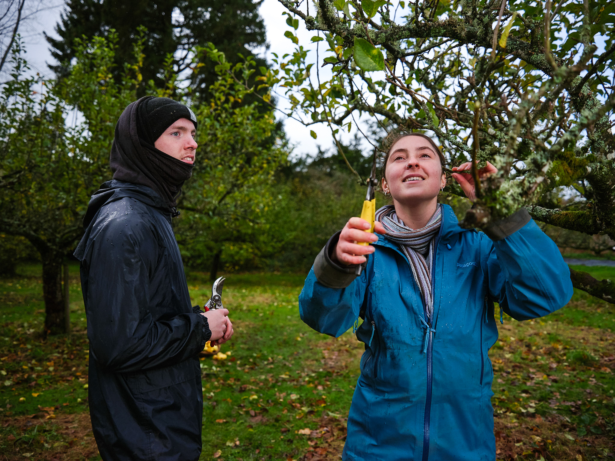 Photo of two young people tending to a tree with sheers.